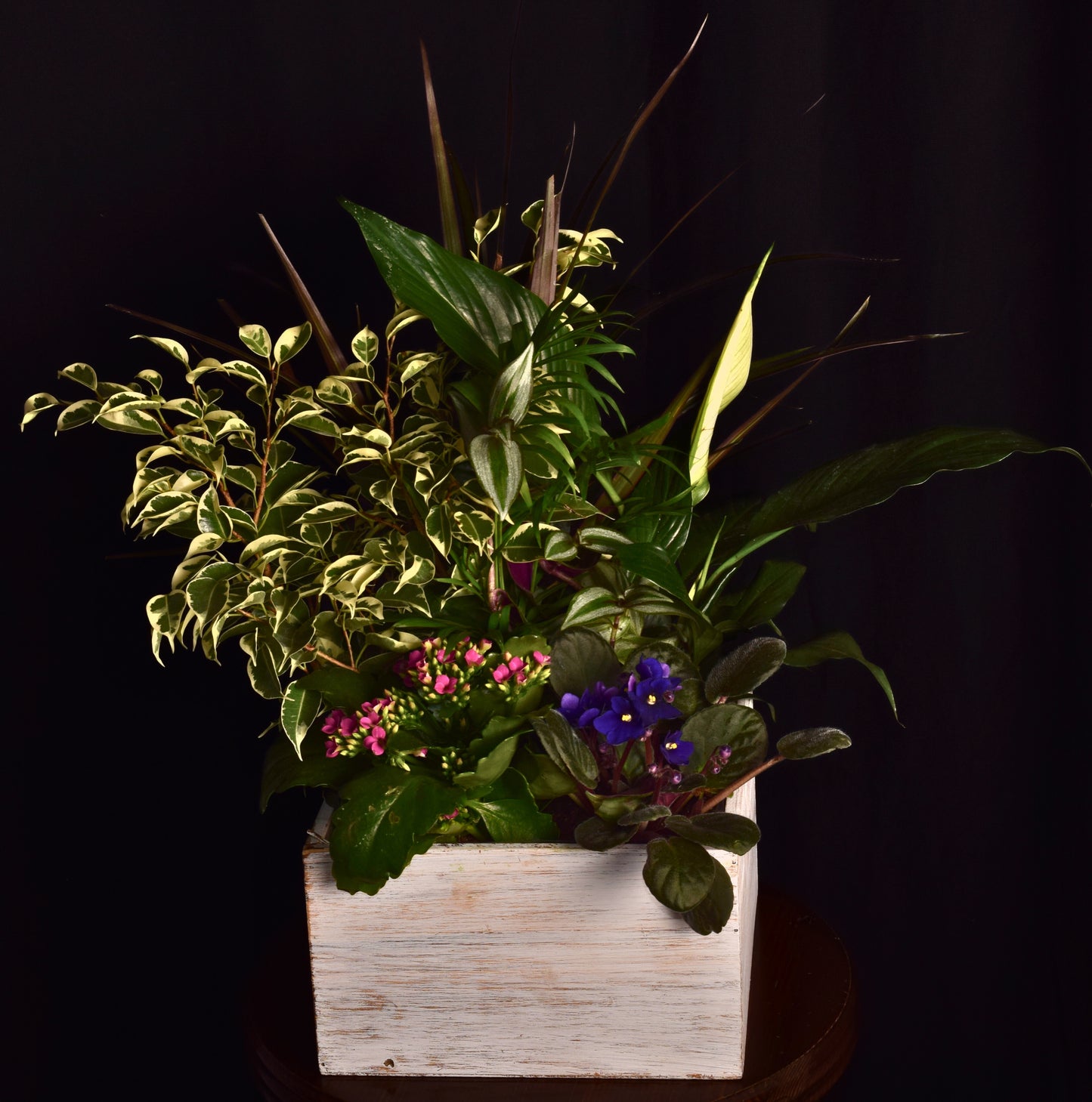 Planters