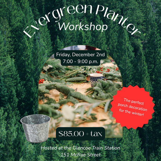 Evergreen Planter Workshop