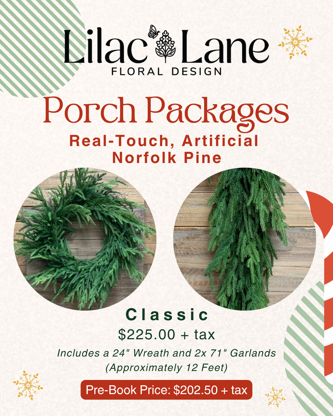 Classic Norfolk Pine Package