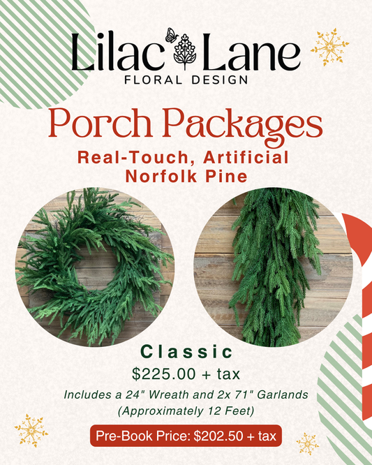 Classic Norfolk Pine Package