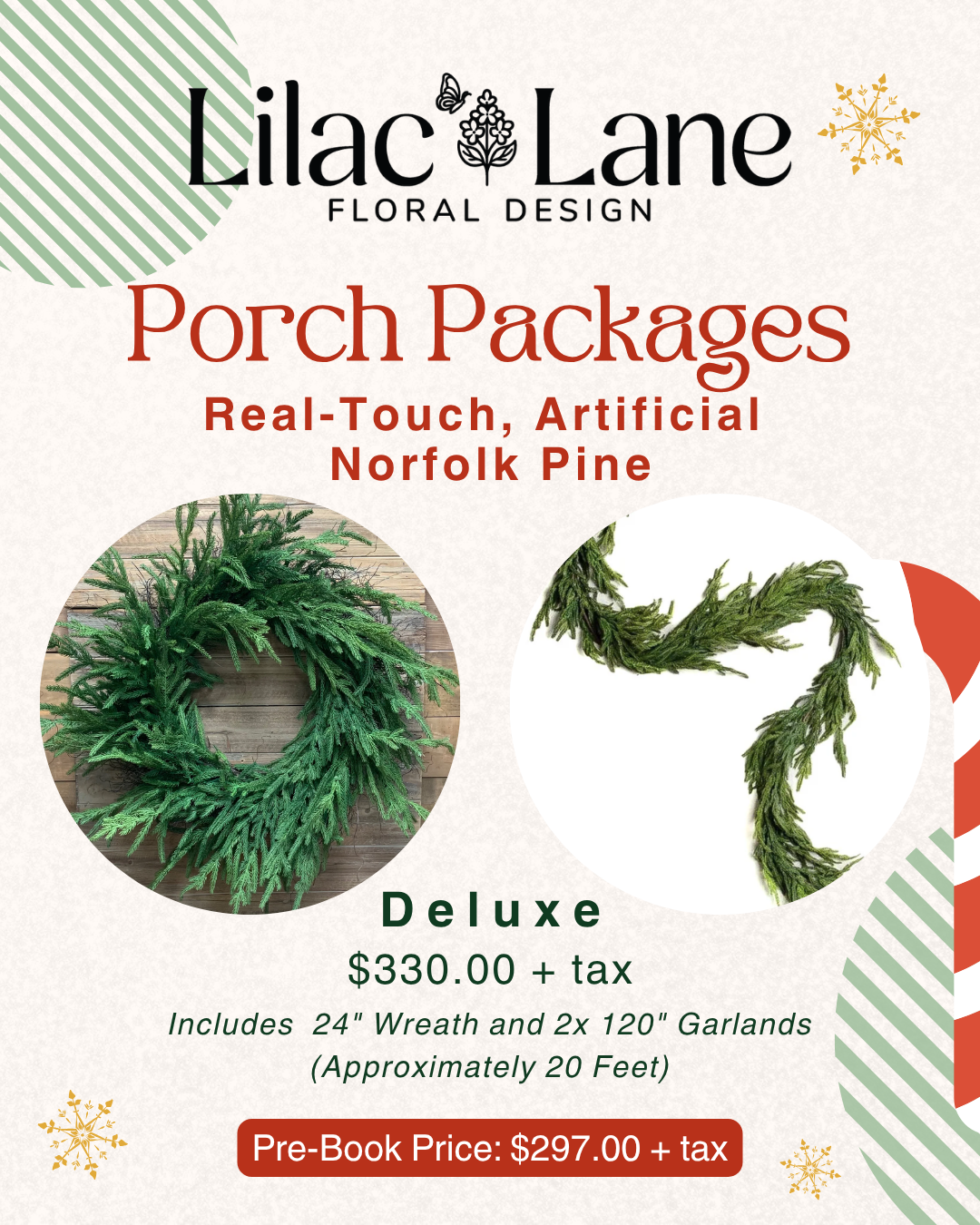 Deluxe Norfolk Pine Package