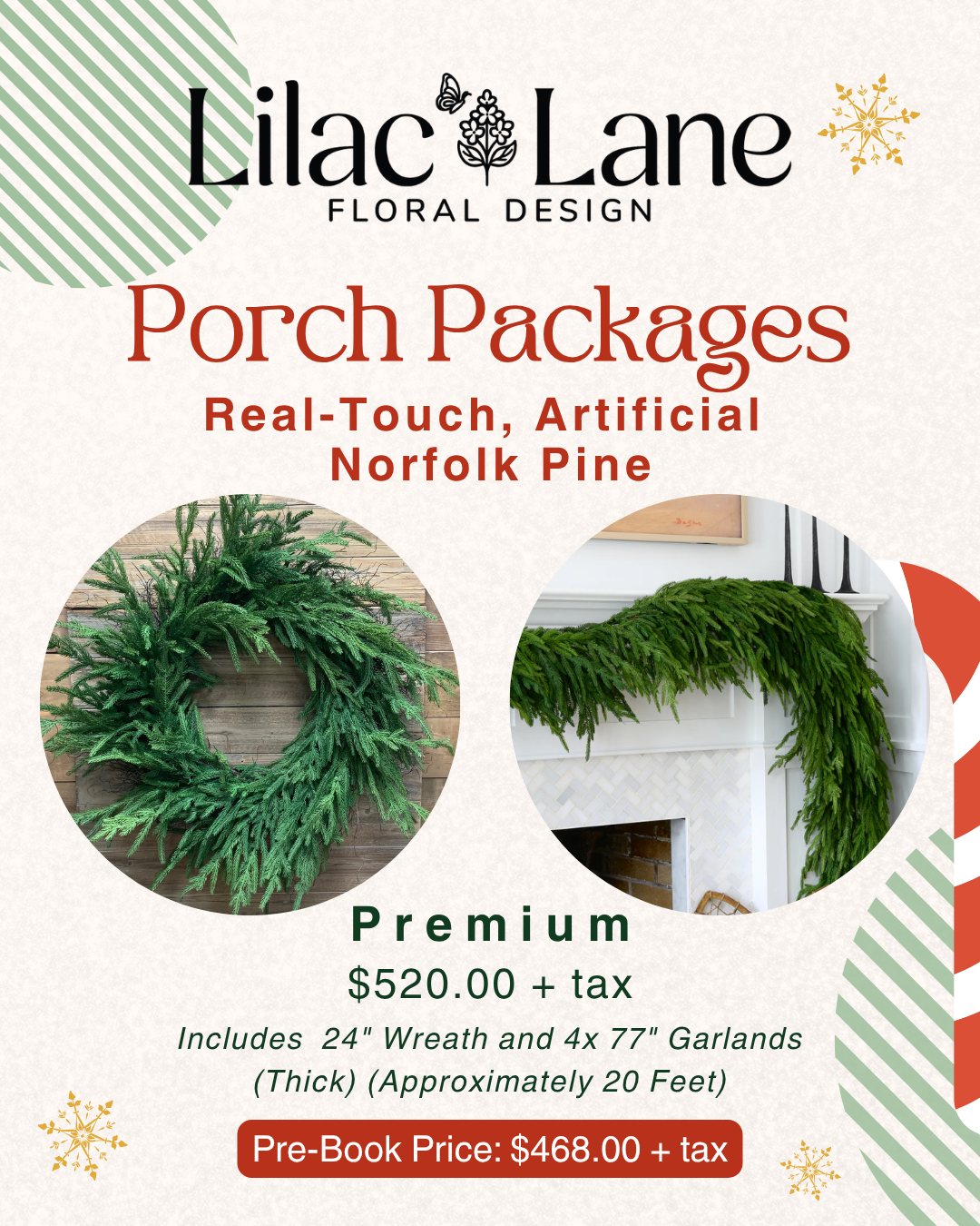 Premium Norfolk Pine Package